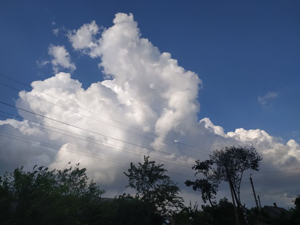 Photograph by Litvinova Ann