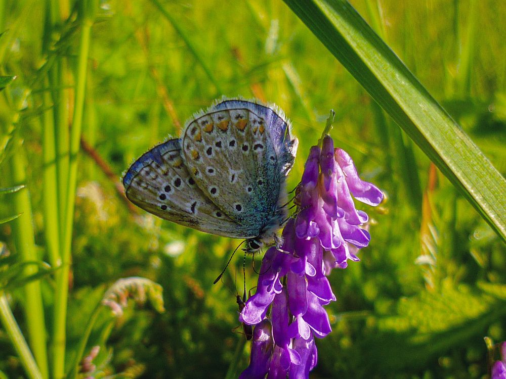 Photograph by Анна Федотова