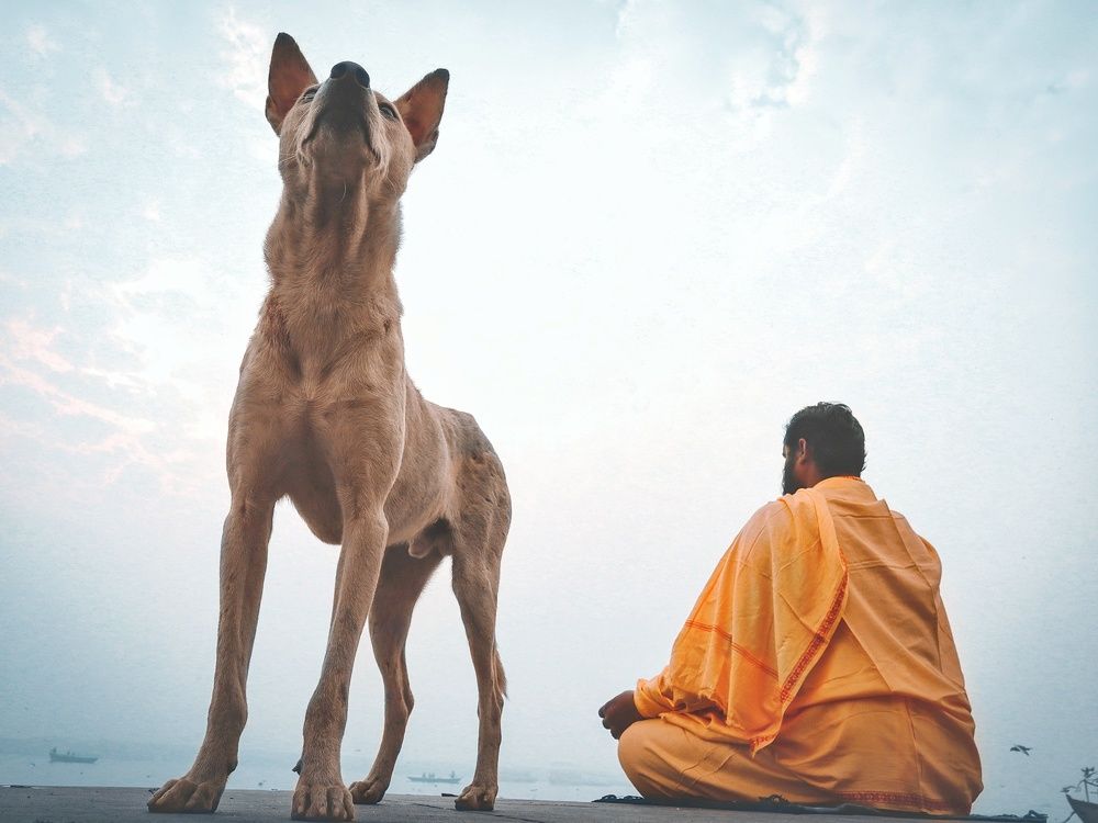 Photograph by Divya Kunal