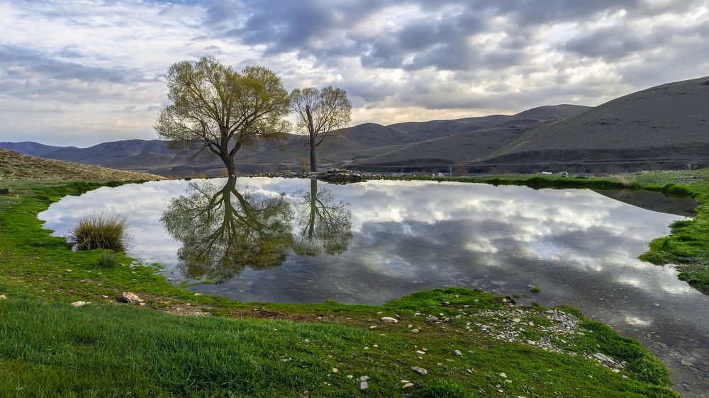 Photograph by majid arab