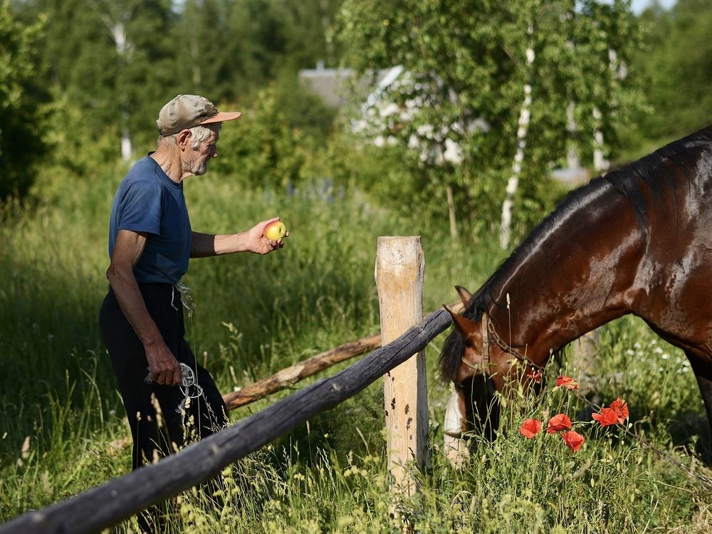 Photograph by Анатолий Андреев