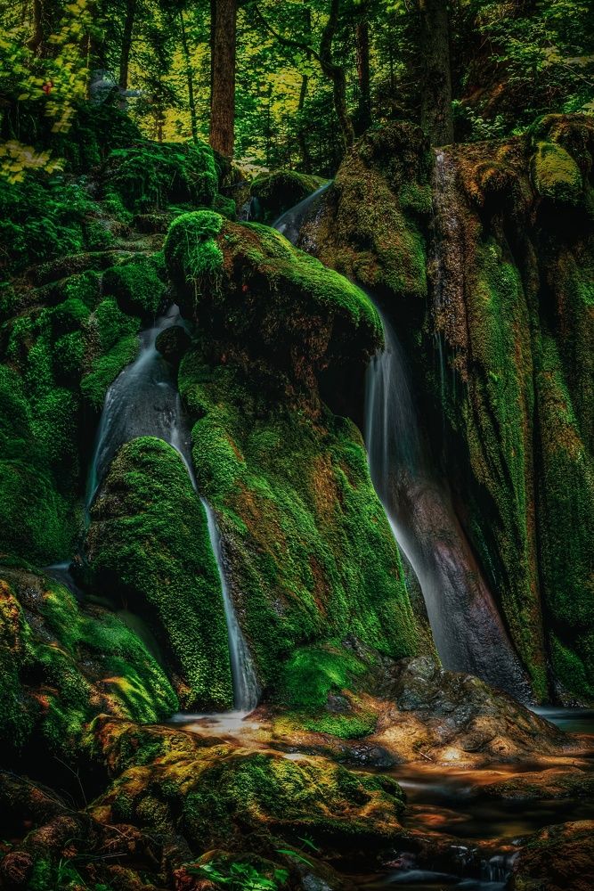 Photograph by Sadzid Karic