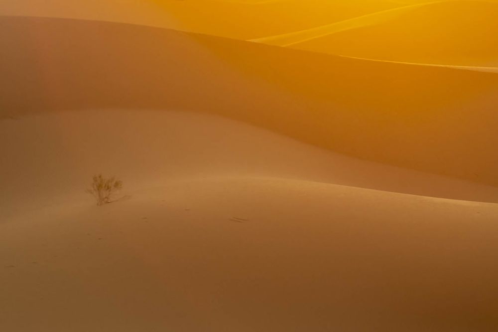 Photograph by Reza Mohammadi