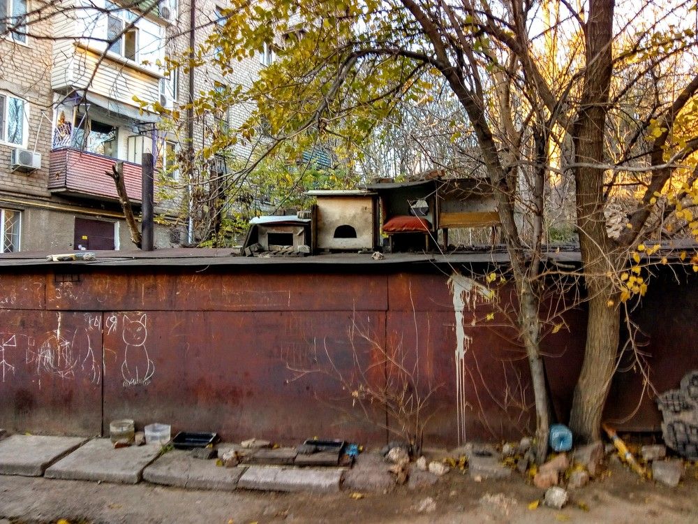 Photo #7355477
