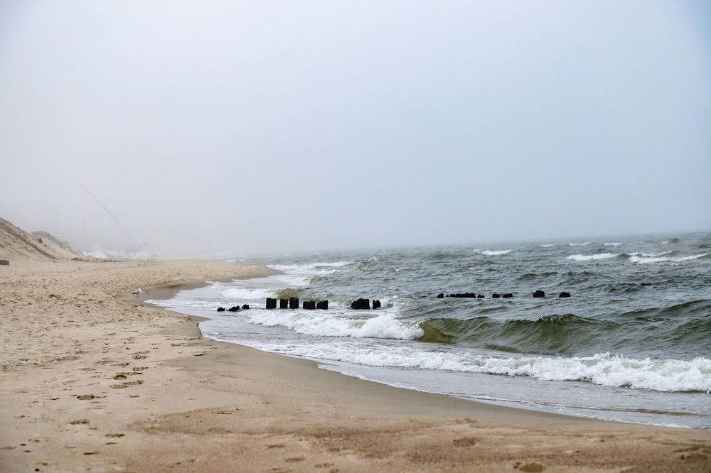 Photograph by Наталья Шапиева