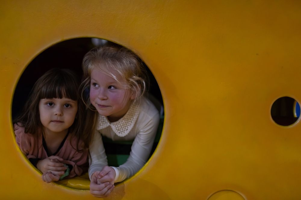 Игра: сыр и мышки