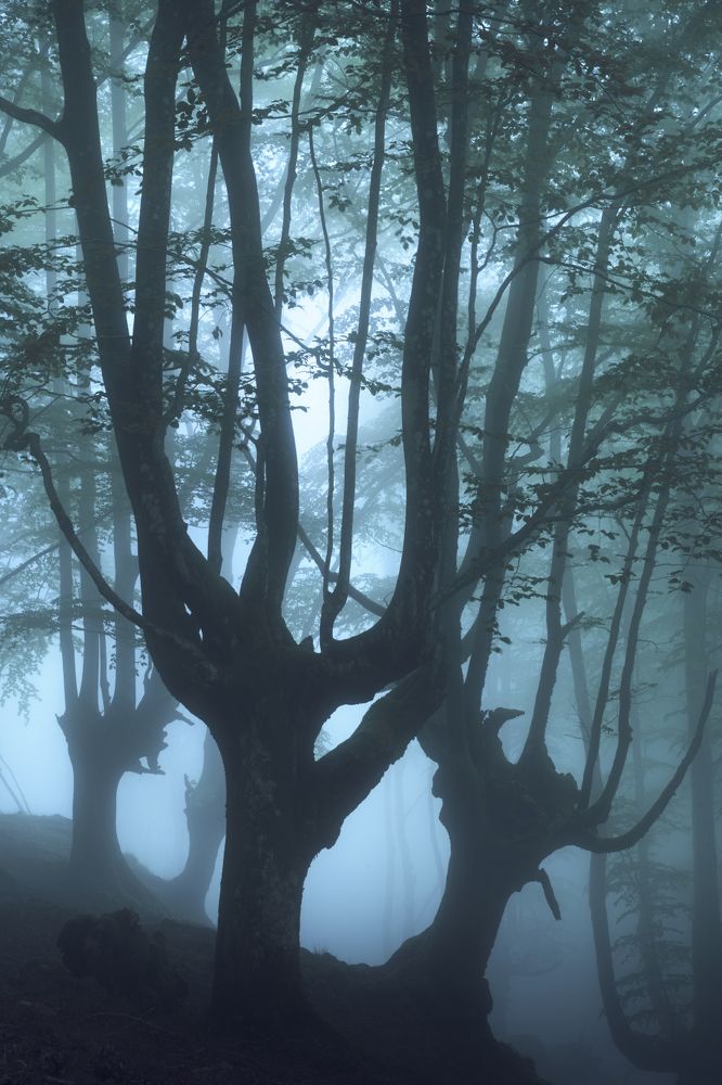 Photograph by Sergio Saavedra Ruiz