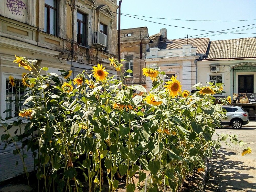 Photo #7355544