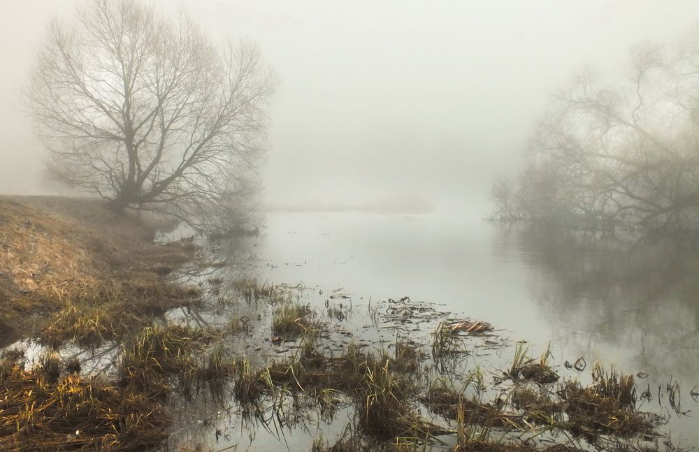 Photograph by Валерий Козуб