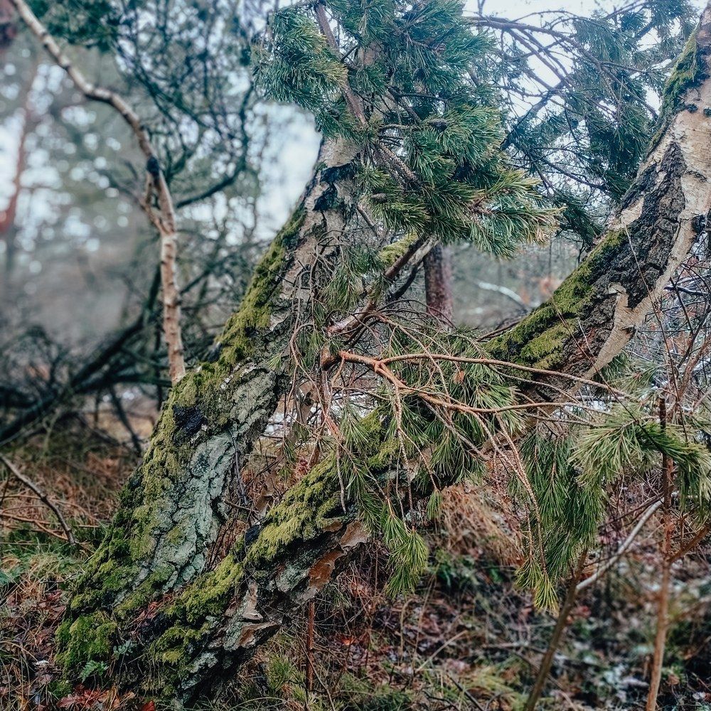 Photograph by Мелетян Наталья