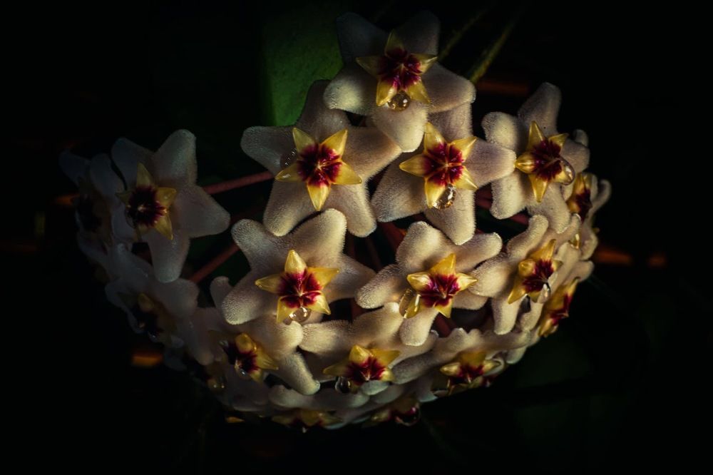 Photograph by Sanja Ristivojevic