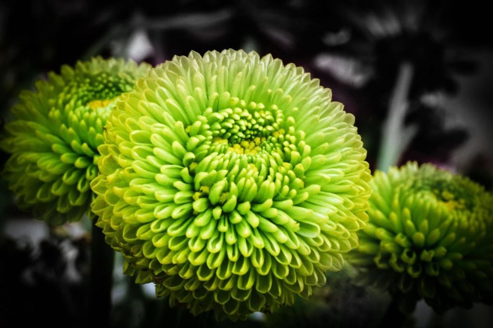 Photograph by Sanja Ristivojevic