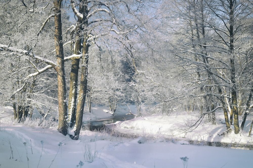 Photograph by Валерий Козуб