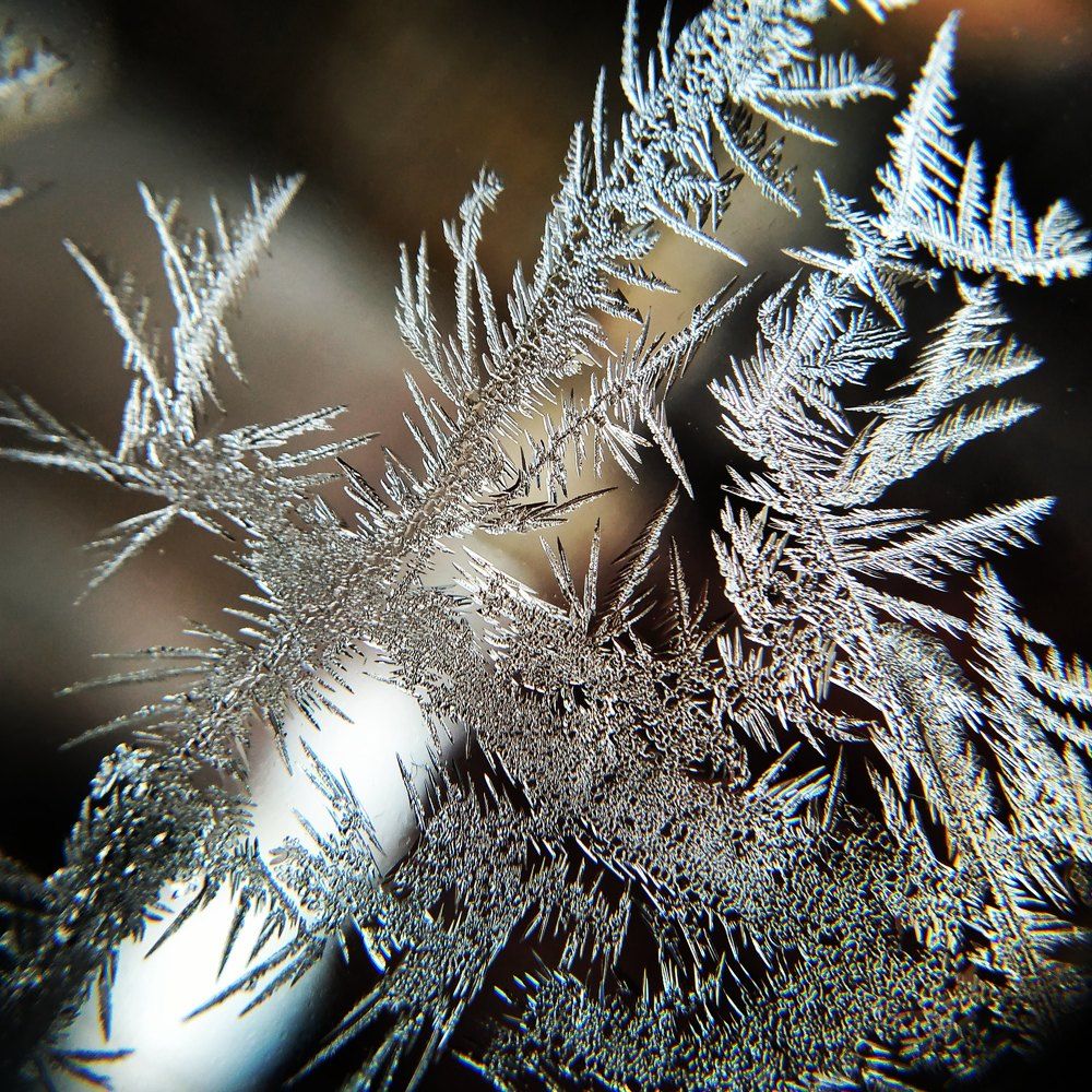 Photograph by Мелетян Наталья