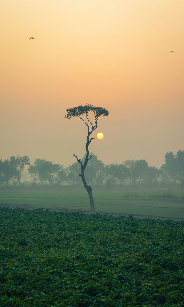 Photograph by Faran Hassan