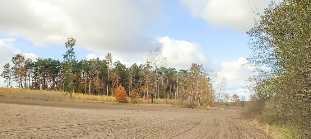 Photograph by Василий Раковец