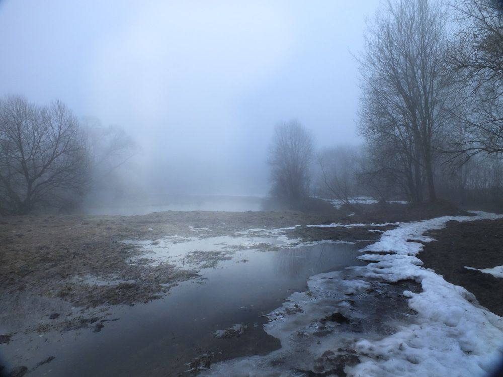 Photograph by Валерий Козуб