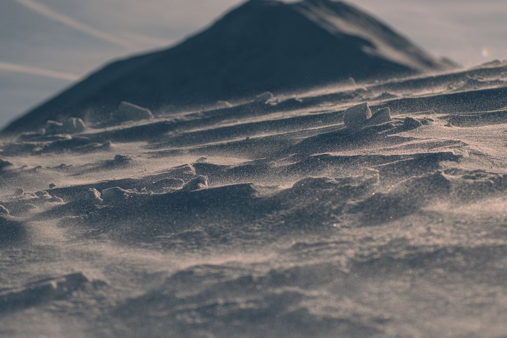 Photograph by Dominik Lipka