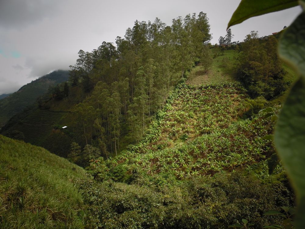 Sandoná, Nariño, Colombia