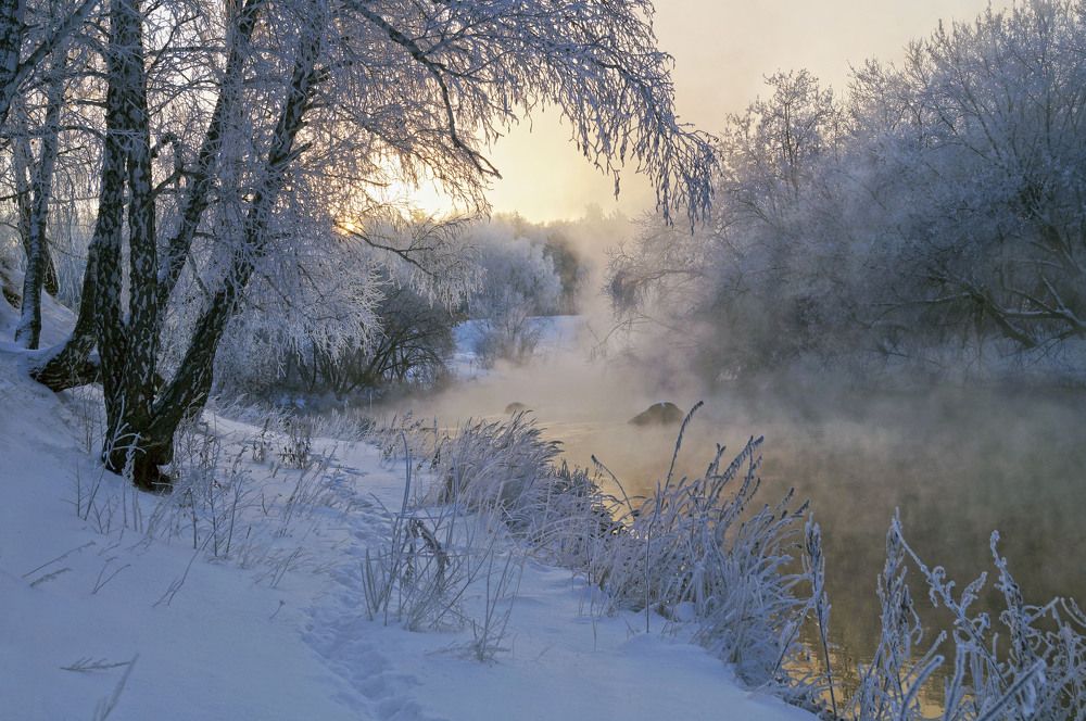 Photograph by Мишустина Татьяна