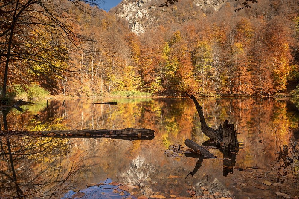 Photograph by Tevfik Ulual