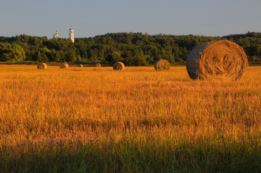 Сенокос.