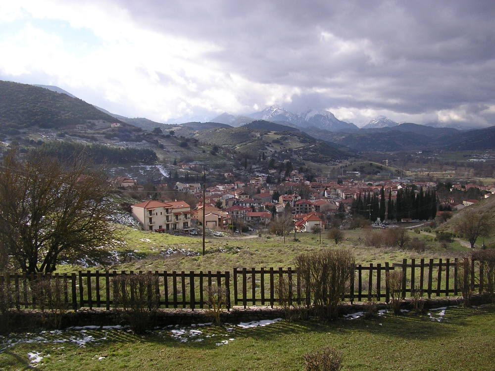 Photo #7355880