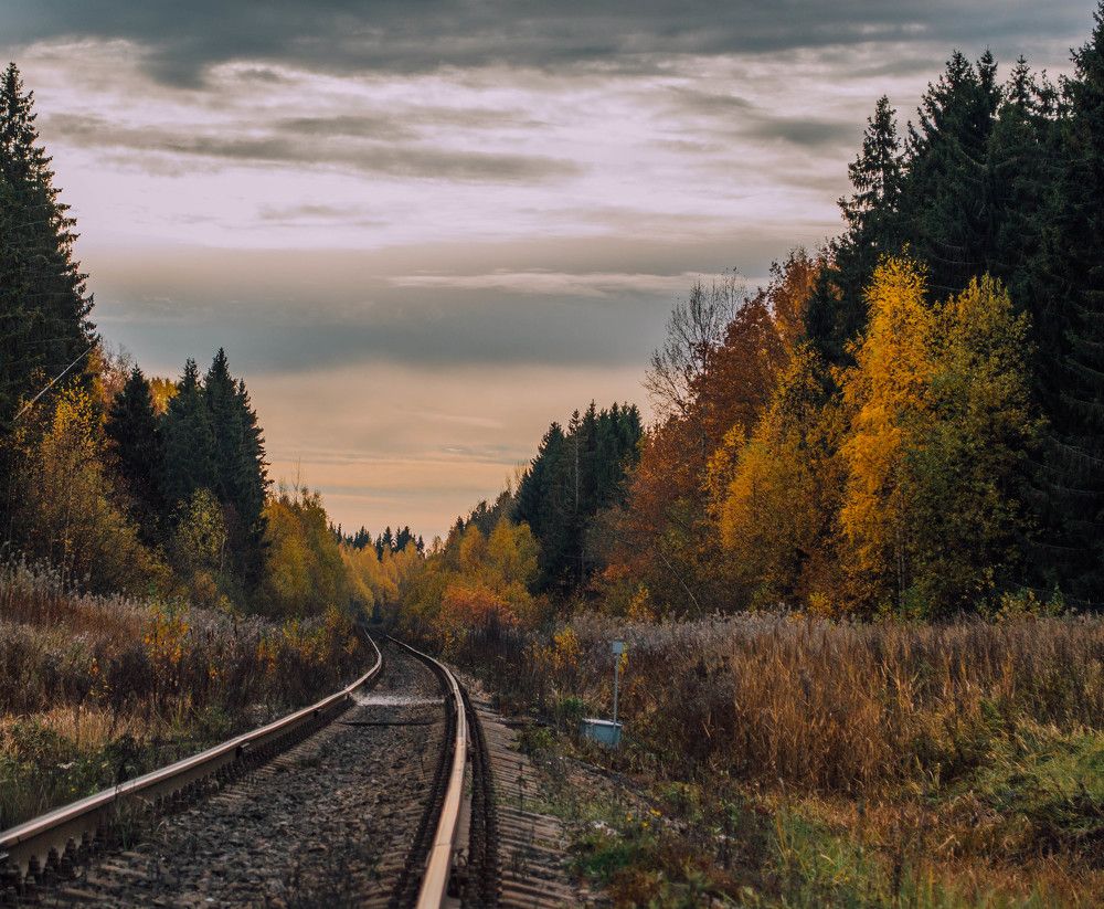 Photograph by Галина Беляева