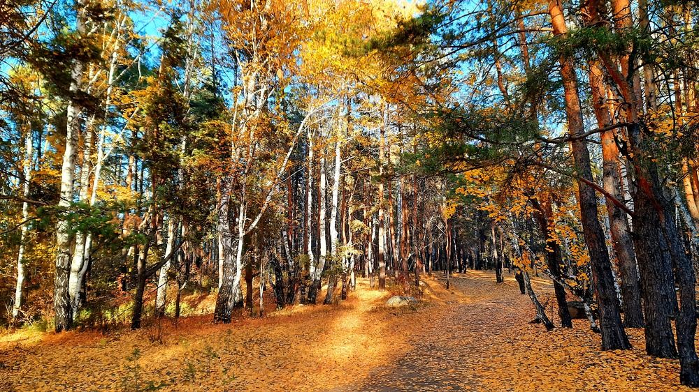 Photograph by Котельникова Татьяна