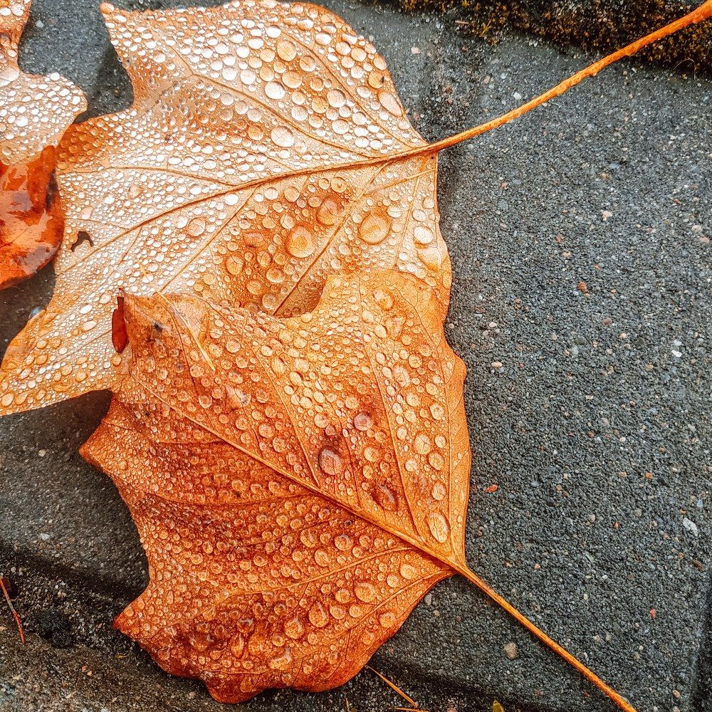 Photograph by Мелетян Наталья