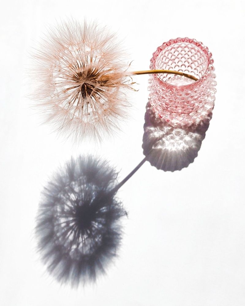 Photograph by Ирина