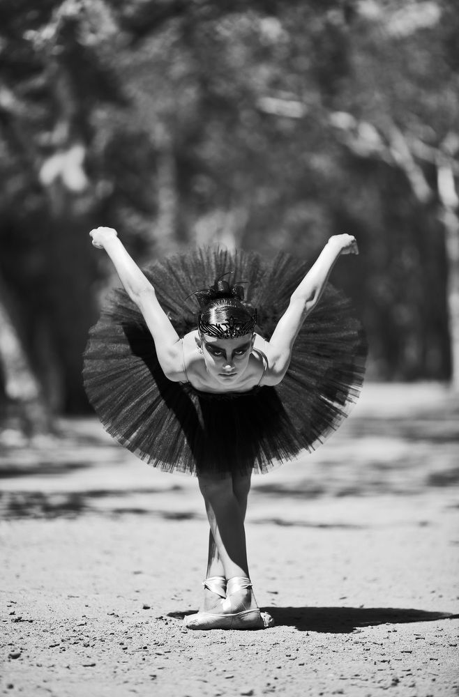 Black swan