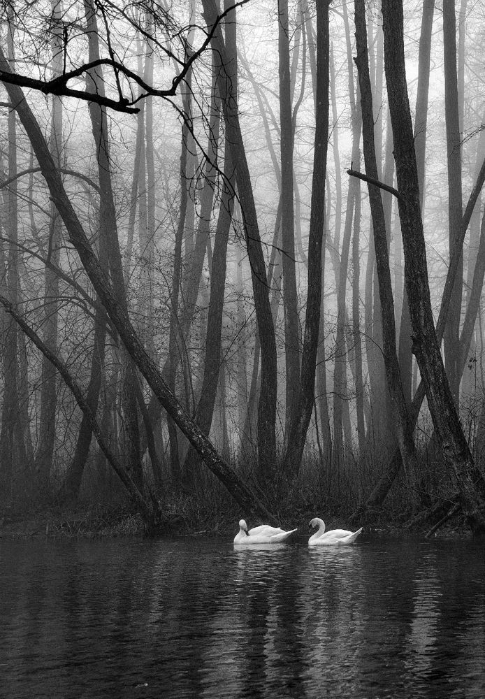 Photograph by muhamed borovic