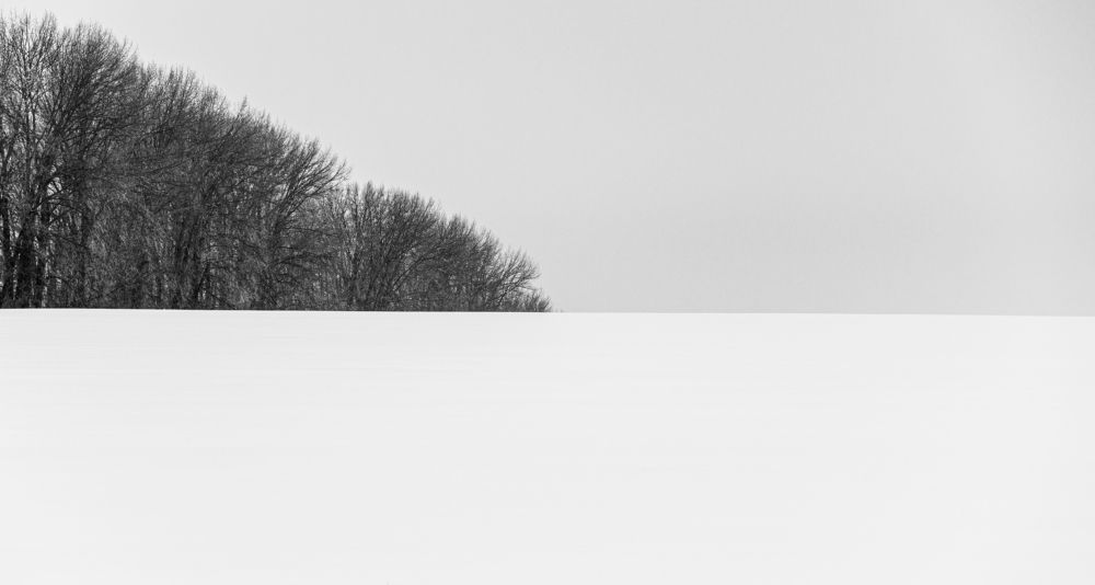 Photograph by Виталий Дрынов