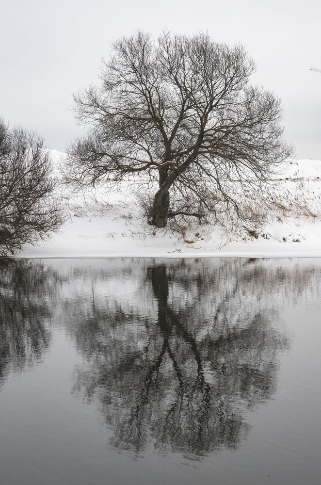 Отражение зимы