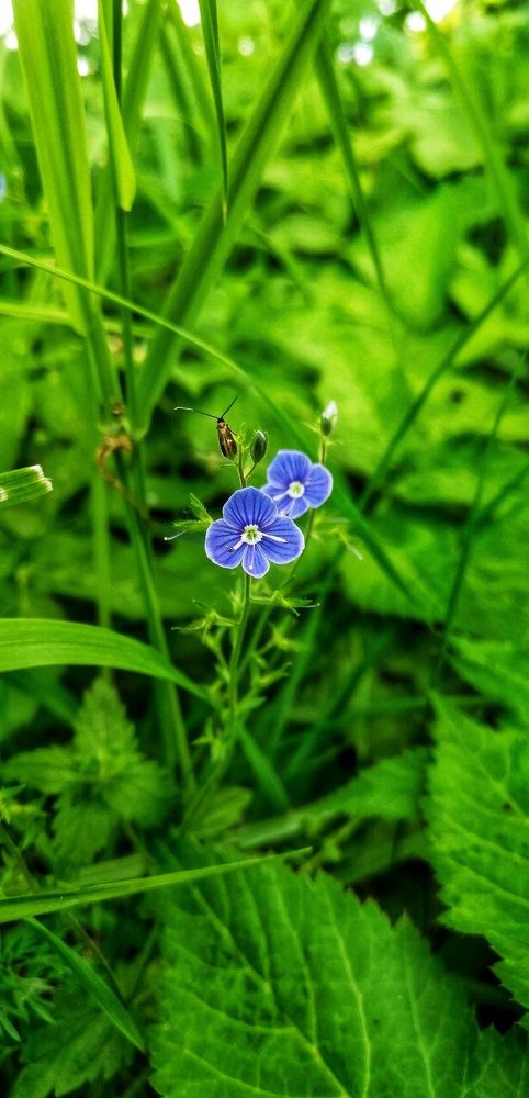 Photograph by Natalia