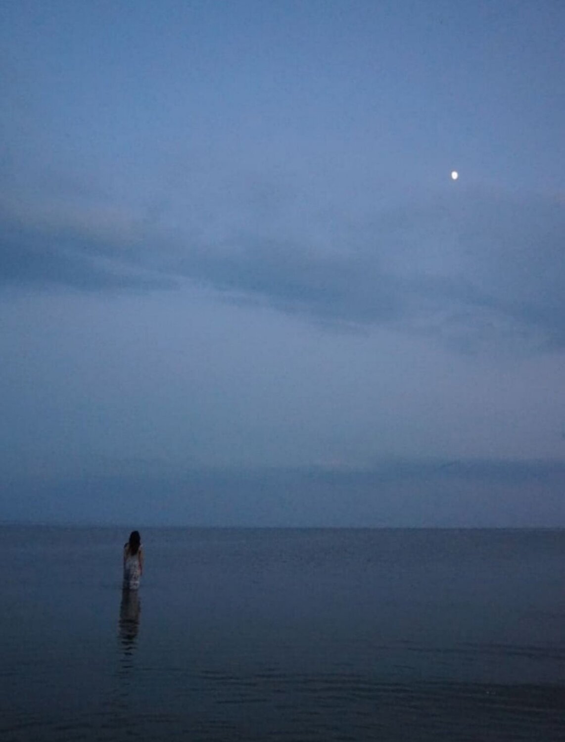 Photo #7356107