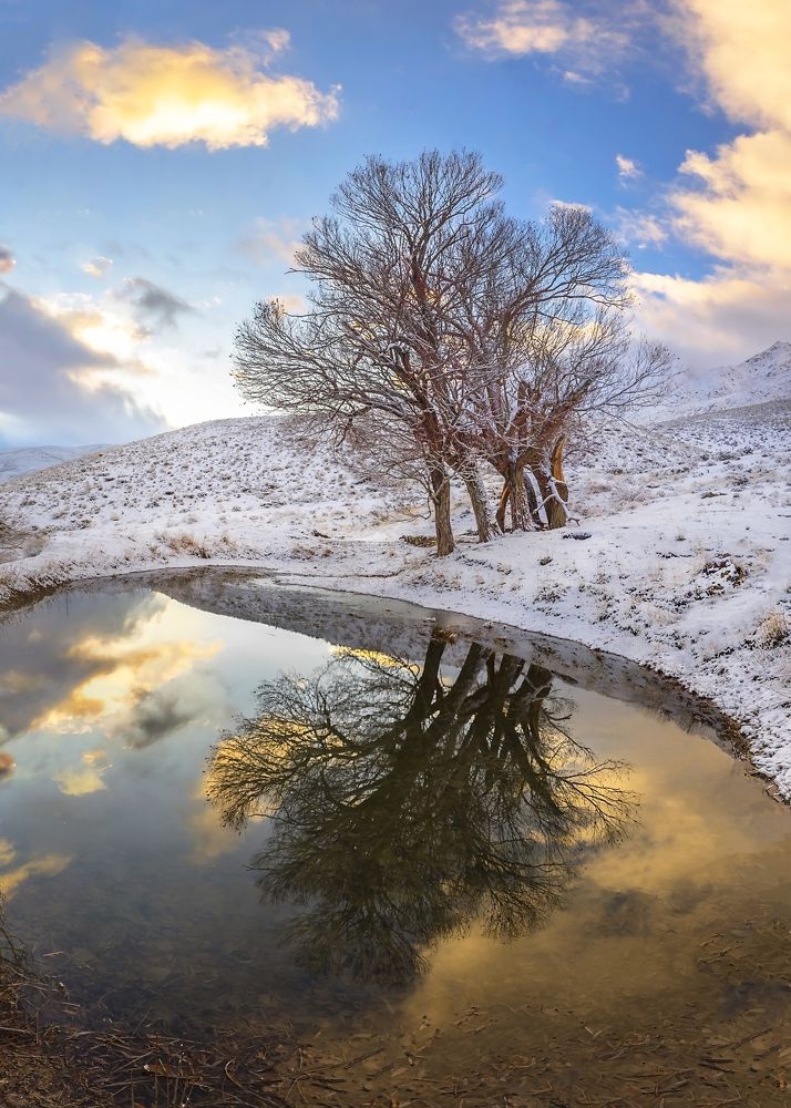 Photograph by majid arab