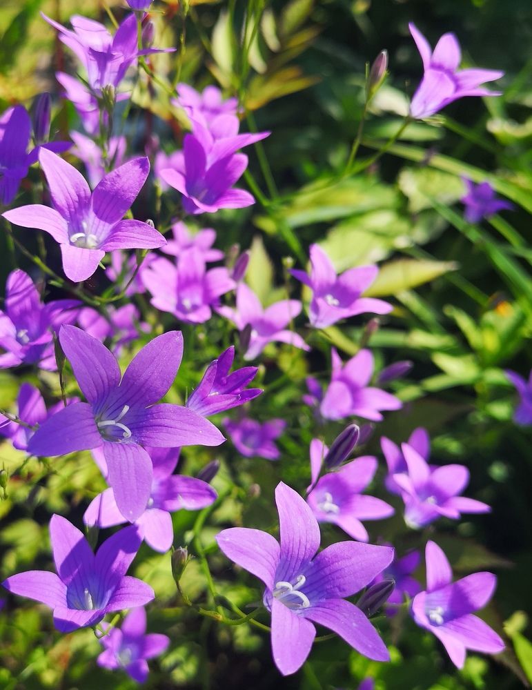 Photograph by Екатерина Кузьмина