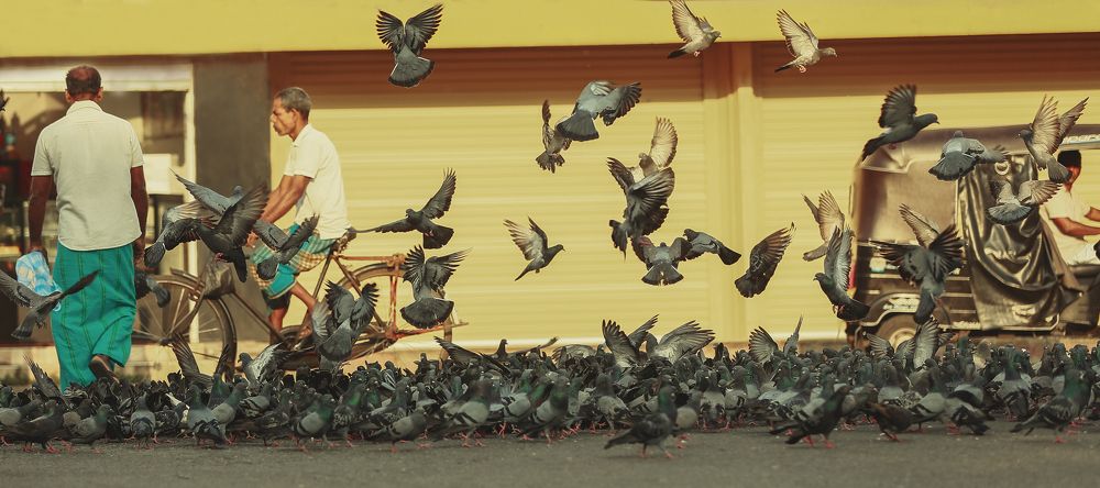 Фотография автора Nadya