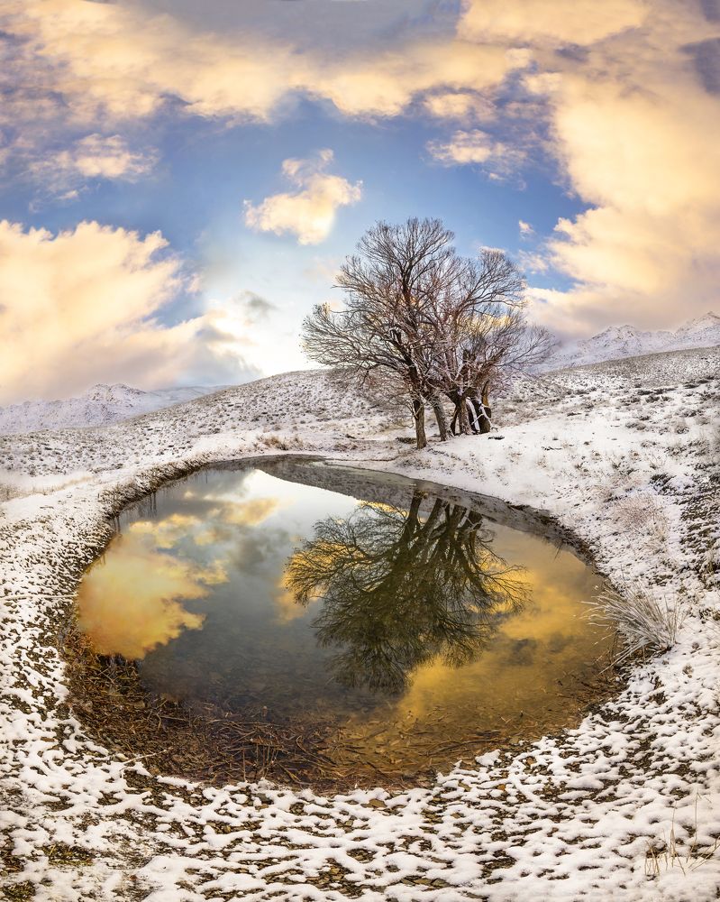 Фотография автора majid arab