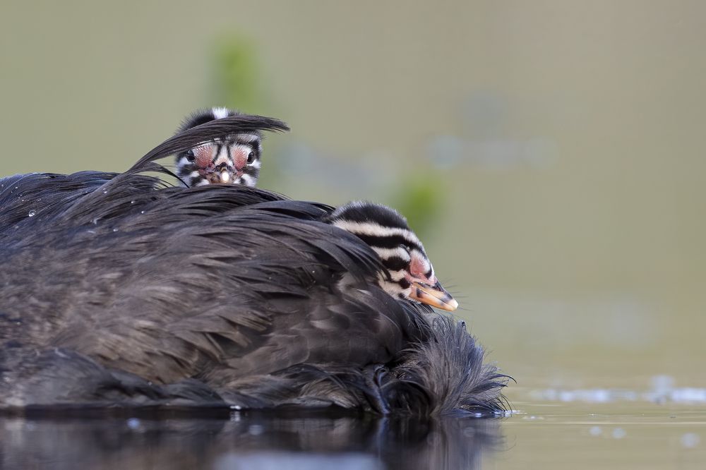 Photograph by Rimantas Stankunas