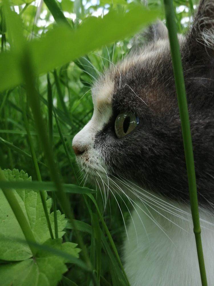 Photograph by Марина