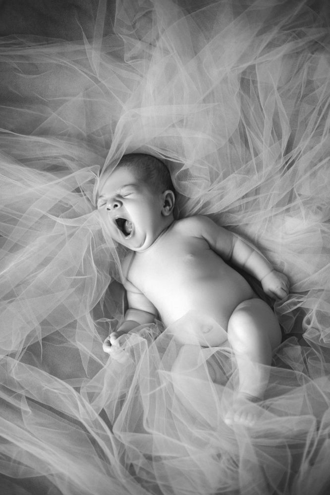 Photograph by Елена Баришполь