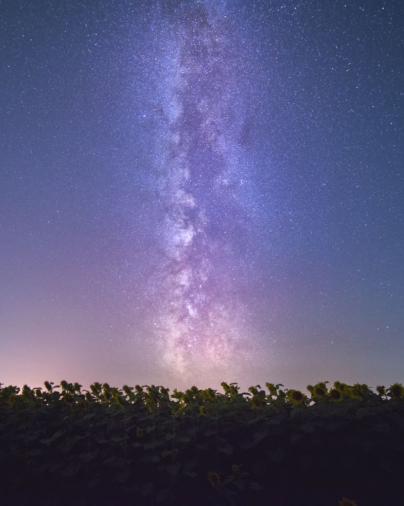 Фотография автора Lyuboslav Bochev