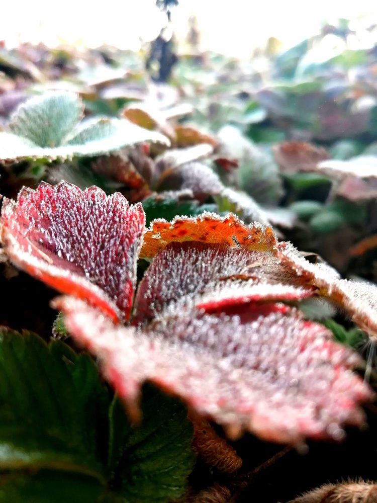 Photograph by Полина