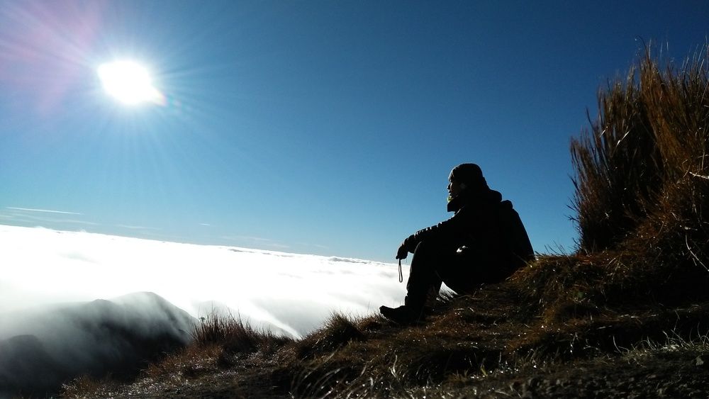 Photo #7356416