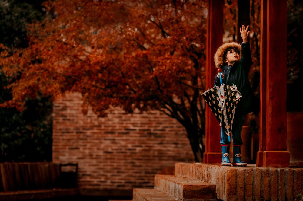 Photograph by Katherine Strauss