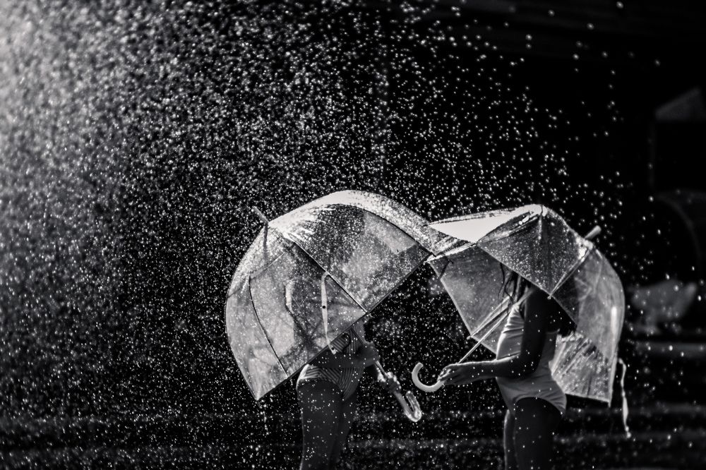 Photograph by Katherine Strauss