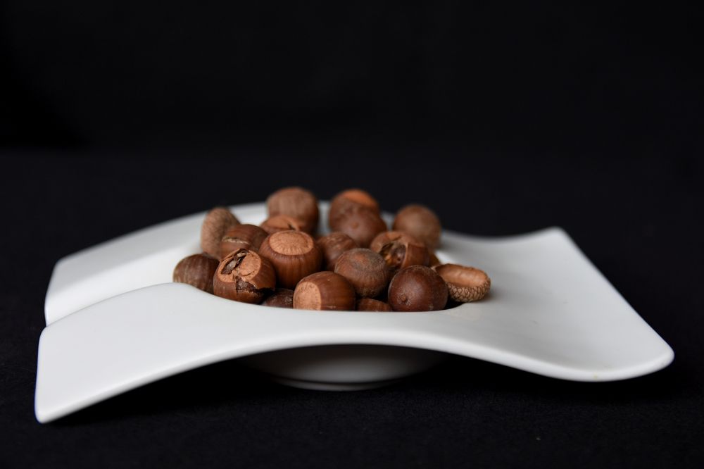 Photograph by Beatriz Games